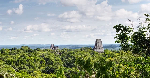Temples mayas de Tikal émergeant de la canopée, au Guatemala