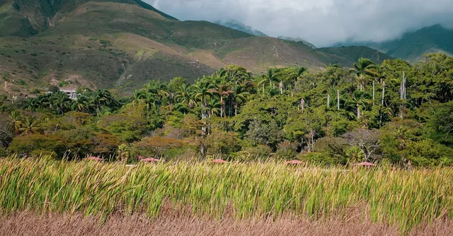 Paysage du Venezuela