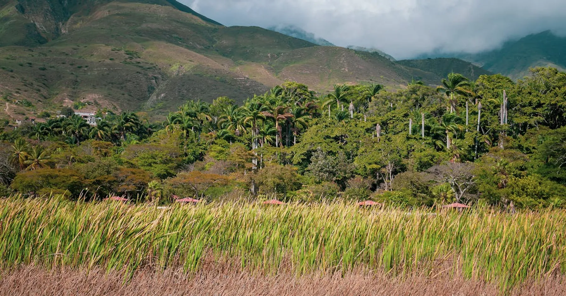 Paysage du Venezuela