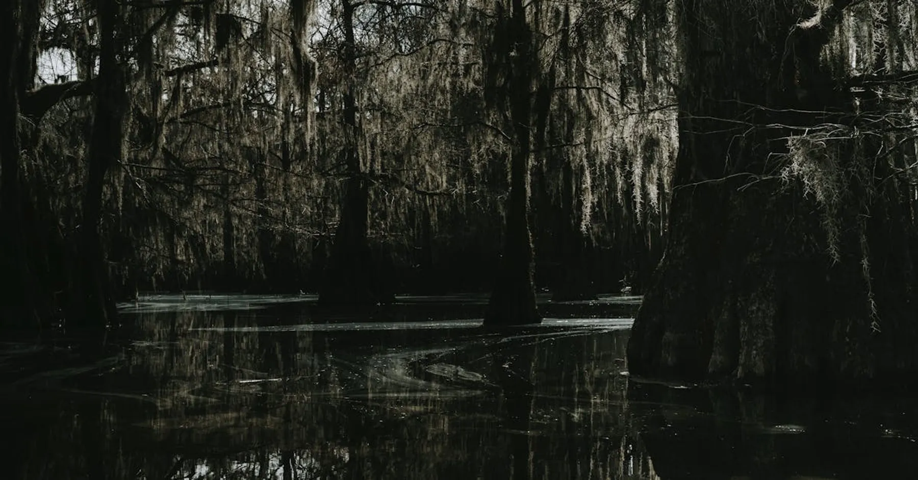 Vivre en Louisiane