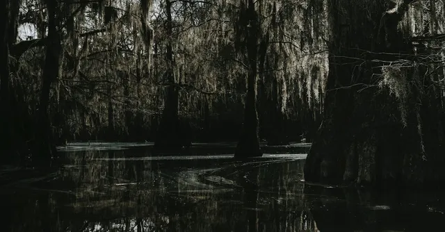 Vivre en Louisiane